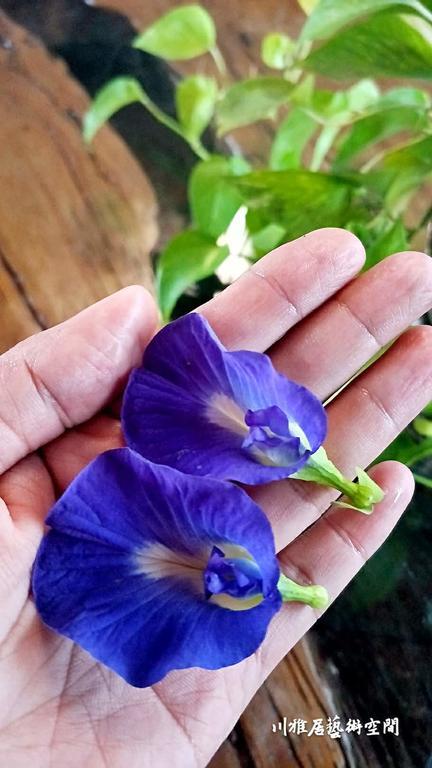 Chuan Ya Ju Homestay Qishan Dış mekan fotoğraf