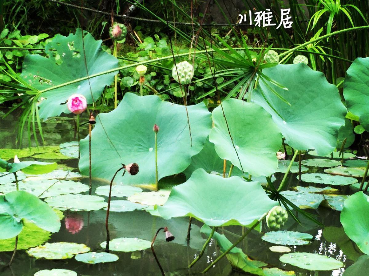 Chuan Ya Ju Homestay Qishan Dış mekan fotoğraf
